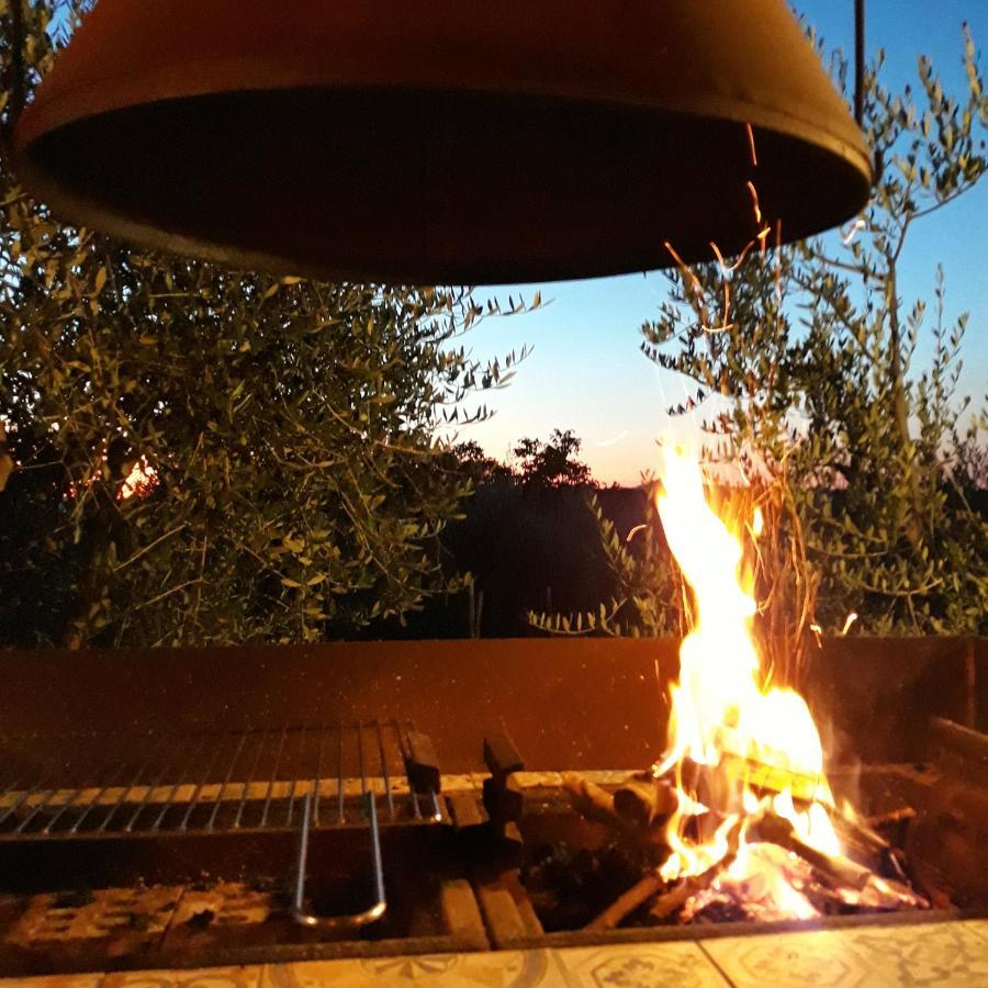 La Vigna Countrybnb Montottone ภายนอก รูปภาพ