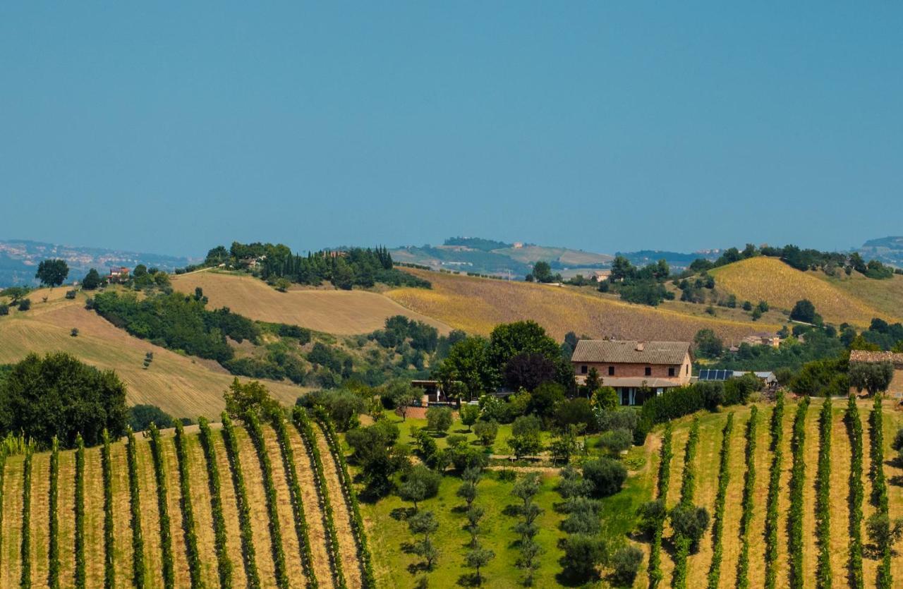 La Vigna Countrybnb Montottone ภายนอก รูปภาพ